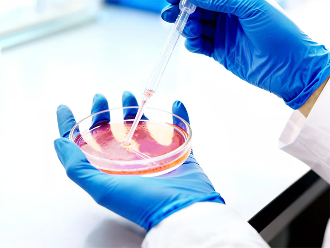 细胞实验研究服务