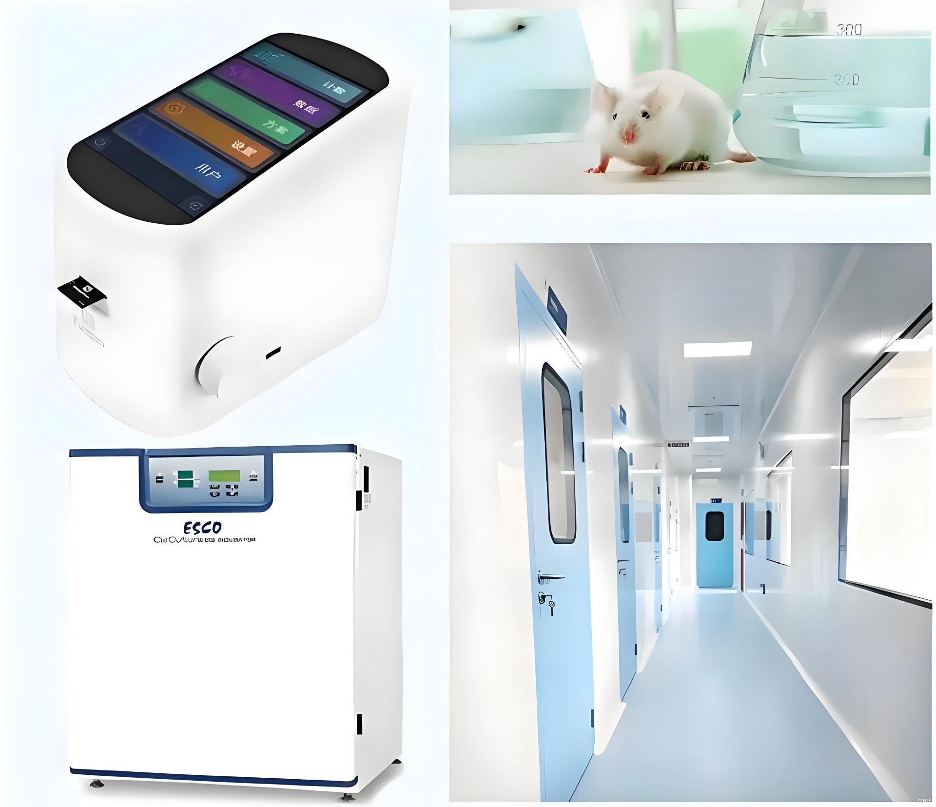 fCIbuT1ja.jpg fCIbuT1ja.jpg