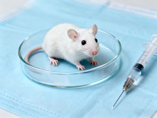 undefined 1387634a64feb2acd011aa8fe58e4bad.jpg