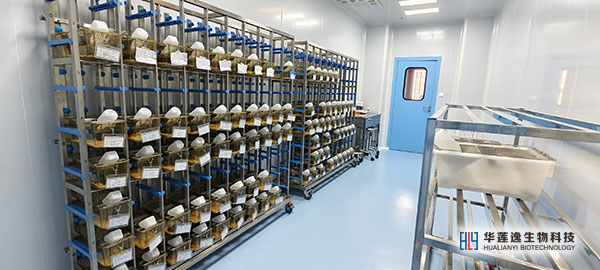 海南华莲逸SPF级动物实验平台 海南华莲逸SPF级动物实验平台